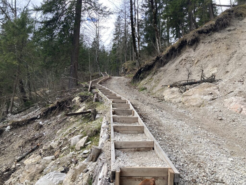 Steiler Weg zum Grünstein