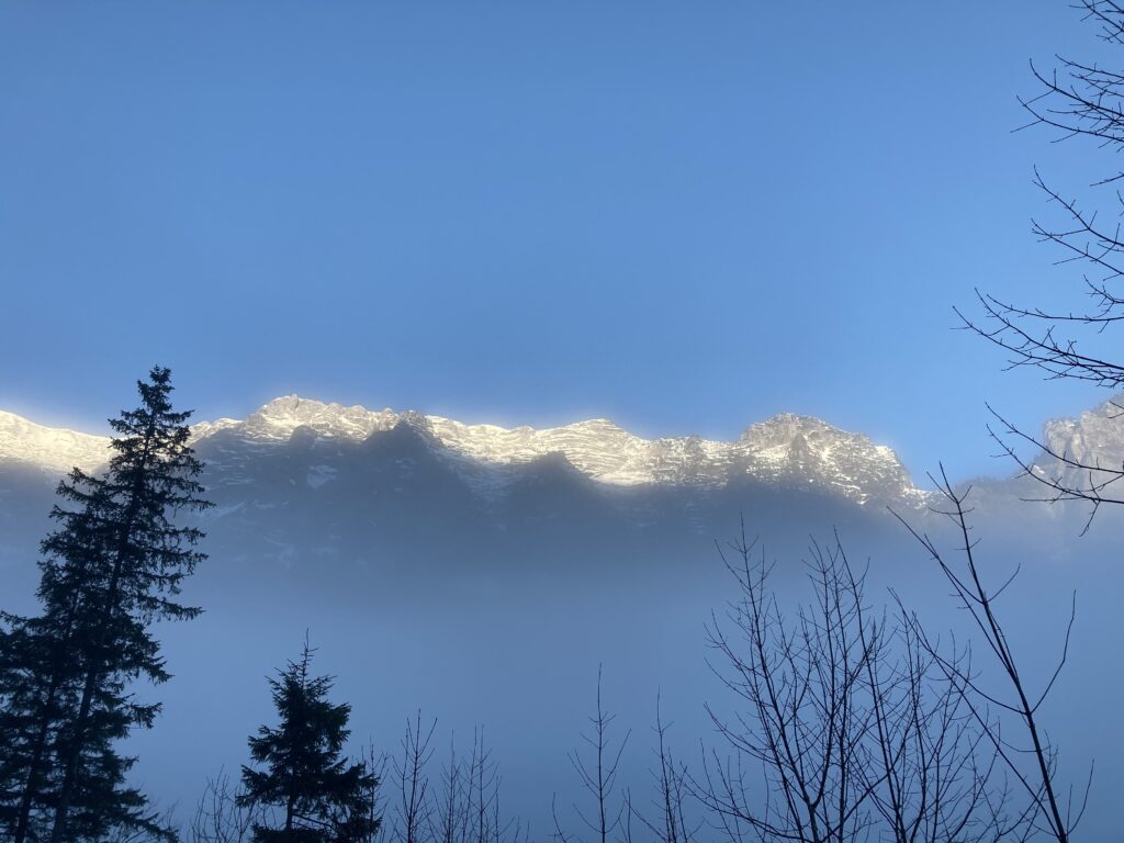 Reiteralpe im Nebel